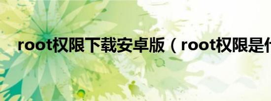 root权限下载安卓版（root权限是什么）