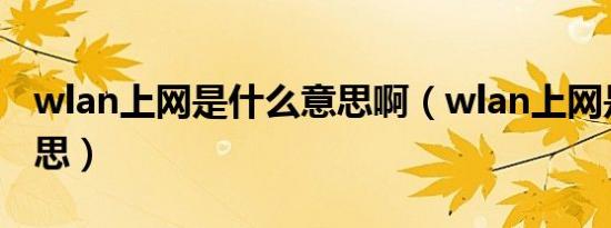 wlan上网是什么意思啊（wlan上网是什么意思）