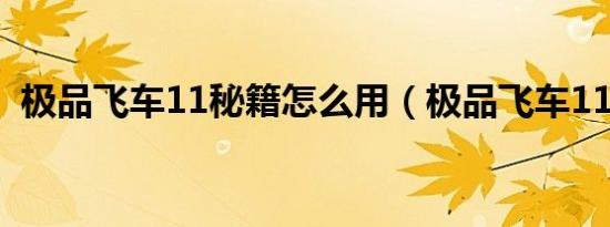 极品飞车11秘籍怎么用（极品飞车11秘籍）