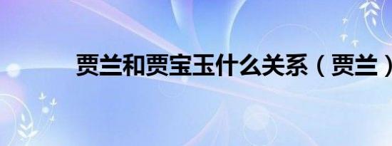 贾兰和贾宝玉什么关系（贾兰）