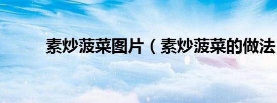 素炒菠菜图片（素炒菠菜的做法）