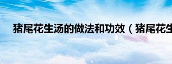 猪尾花生汤的做法和功效（猪尾花生汤）