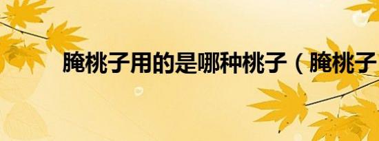 腌桃子用的是哪种桃子（腌桃子）