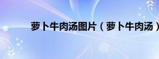 萝卜牛肉汤图片（萝卜牛肉汤）