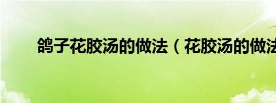 鸽子花胶汤的做法（花胶汤的做法）