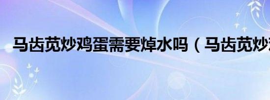 马齿苋炒鸡蛋需要焯水吗（马齿苋炒鸡蛋）