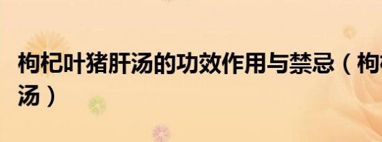 枸杞叶猪肝汤的功效作用与禁忌（枸杞叶猪肝汤）