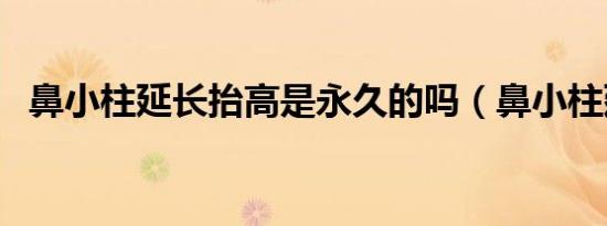 鼻小柱延长抬高是永久的吗（鼻小柱延长）