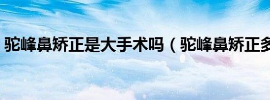 驼峰鼻矫正是大手术吗（驼峰鼻矫正多少钱）