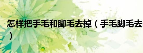 怎样把手毛和脚毛去掉（手毛脚毛去除小妙招）