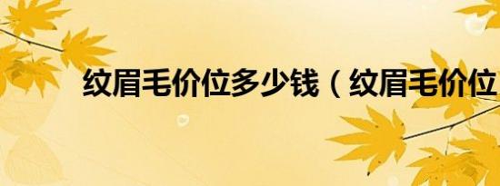 纹眉毛价位多少钱（纹眉毛价位）