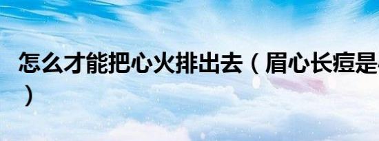怎么才能把心火排出去（眉心长痘是心火旺吗）