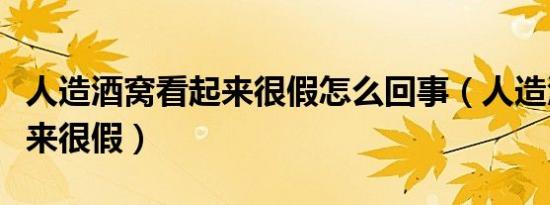 人造酒窝看起来很假怎么回事（人造酒窝看起来很假）