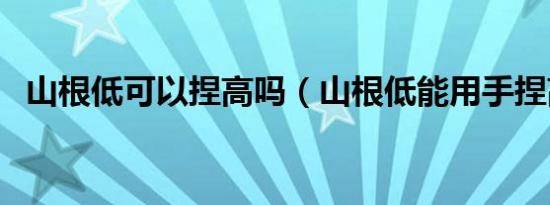 山根低可以捏高吗（山根低能用手捏高吗）