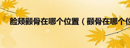 脸颊颧骨在哪个位置（颧骨在哪个位置）