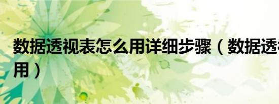 数据透视表怎么用详细步骤（数据透视表怎么用）