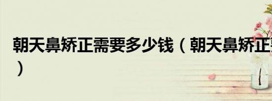 朝天鼻矫正需要多少钱（朝天鼻矫正要多少钱）