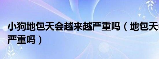 小狗地包天会越来越严重吗（地包天会越来越严重吗）