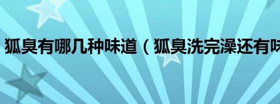 狐臭有哪几种味道（狐臭洗完澡还有味道吗）