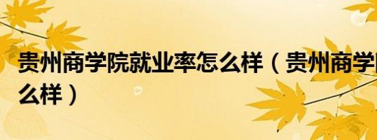 贵州商学院就业率怎么样（贵州商学院工作怎么样）