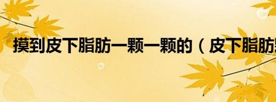 摸到皮下脂肪一颗一颗的（皮下脂肪颗粒）