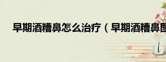 早期酒糟鼻怎么治疗（早期酒糟鼻图片）