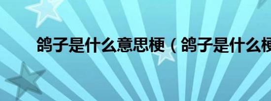 鸽子是什么意思梗（鸽子是什么梗）
