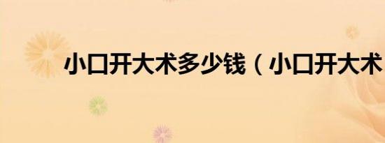 小口开大术多少钱（小口开大术）