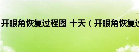 开眼角恢复过程图 十天（开眼角恢复过程图）