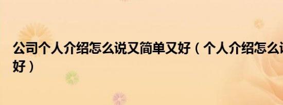 公司个人介绍怎么说又简单又好（个人介绍怎么说又简单又好）