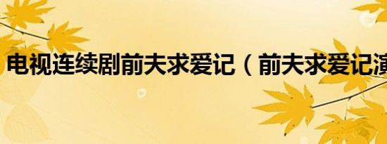 电视连续剧前夫求爱记（前夫求爱记演员表）