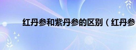 红丹参和紫丹参的区别（红丹参）