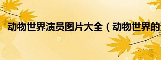 动物世界演员图片大全（动物世界的演员）