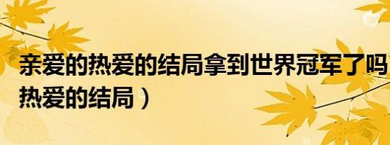 亲爱的热爱的结局拿到世界冠军了吗（亲爱的热爱的结局）