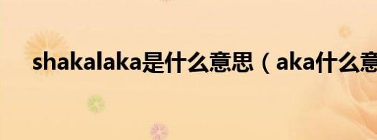 shakalaka是什么意思（aka什么意思）