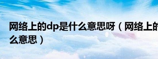 网络上的dp是什么意思呀（网络上的dp是什么意思）