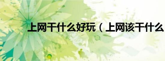 上网干什么好玩（上网该干什么）