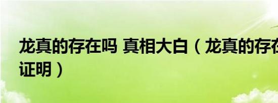 龙真的存在吗 真相大白（龙真的存在吗事实证明）