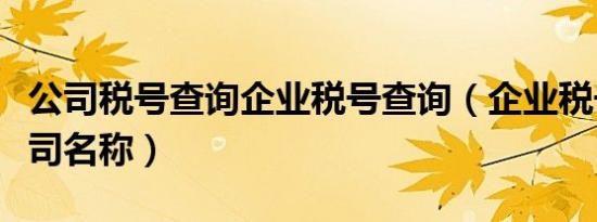 公司税号查询企业税号查询（企业税号查询公司名称）