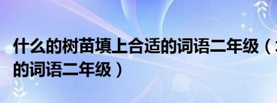什么的树苗填上合适的词语二年级（填上合适的词语二年级）