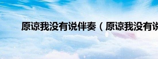 原谅我没有说伴奏（原谅我没有说）