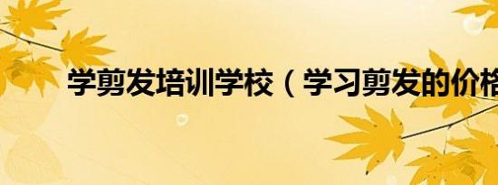 学剪发培训学校（学习剪发的价格）