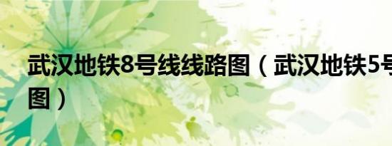 武汉地铁8号线线路图（武汉地铁5号线线路图）