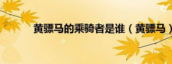 黄骠马的乘骑者是谁（黄骠马）