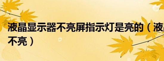 液晶显示器不亮屏指示灯是亮的（液晶显示器不亮）