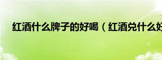 红酒什么牌子的好喝（红酒兑什么好喝）