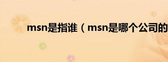 msn是指谁（msn是哪个公司的）