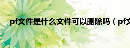 pf文件是什么文件可以删除吗（pf文件）