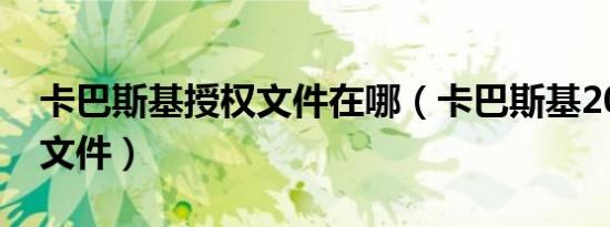 卡巴斯基授权文件在哪（卡巴斯基2010授权文件）