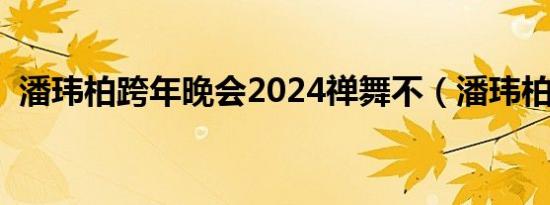 潘玮柏跨年晚会2024禅舞不（潘玮柏跨年）